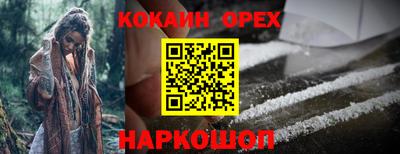 сатива Краснокаменск
