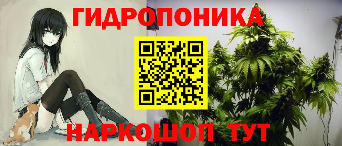 Бошки марихуана White Widow Кизляр